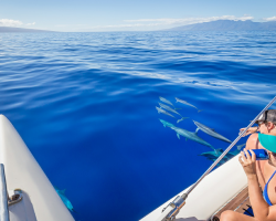 Snorkel Scuba Sail