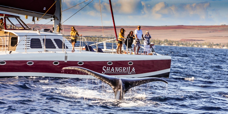 ShangriLa Private Corporate Sail