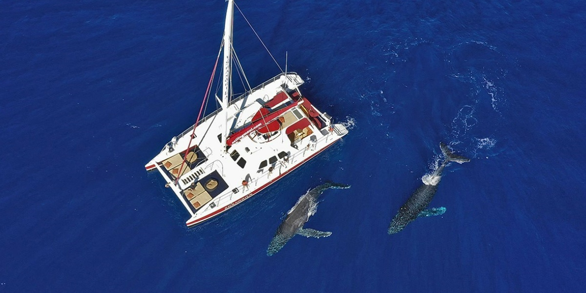 ShangriLa Sailing