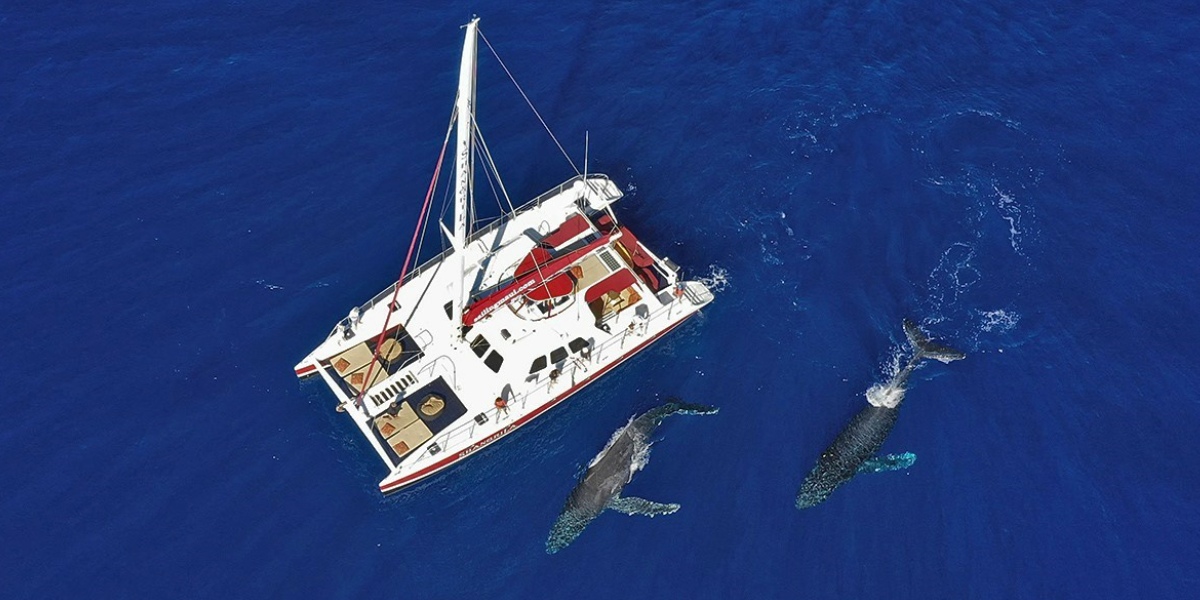 ShangriLa Sailing