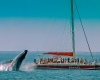 ShangriLa Private Sailing Charters